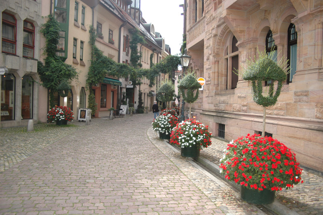 spendenfahrt freiburg