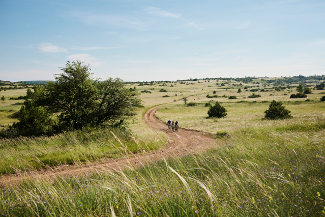 Landschaft